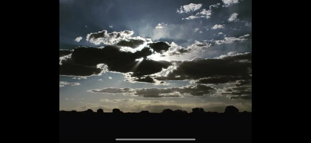 Custom landscape installation experts serving Albuquerque, NM - Serenity Landscaping