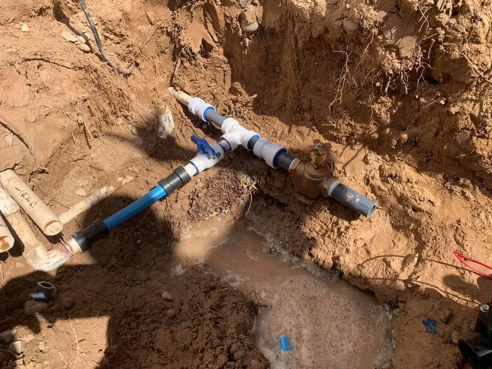 Professional lawn care service in Albuquerque, NM - Serenity Landscaping