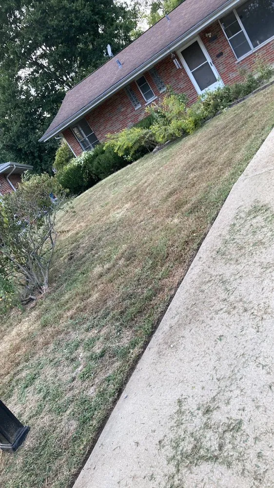 Reliable lawn care service in Clayton, MO by Serenity Landscaping and Lawn Service