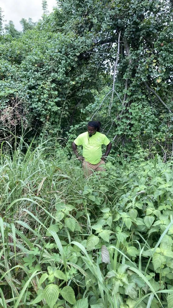 Top-rated garden landscaping for residential properties in Clayton, MO by Serenity Landscaping and Lawn Service