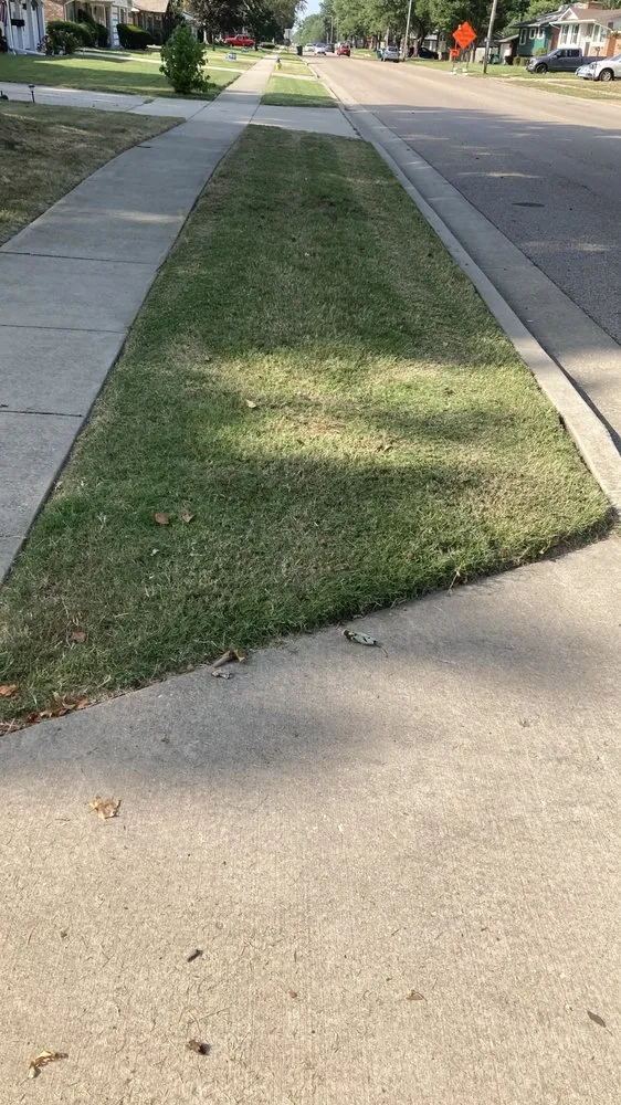 Top-rated yard cleanup service in Clayton, MO by Serenity Landscaping and Lawn Service