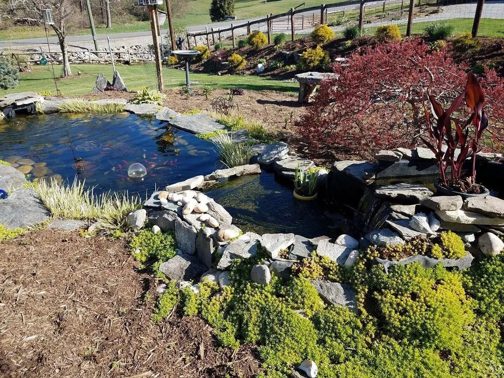 Affordable lawn mowing service for outdoor upgrades across Hillsville, VA - Serenity Landscaping