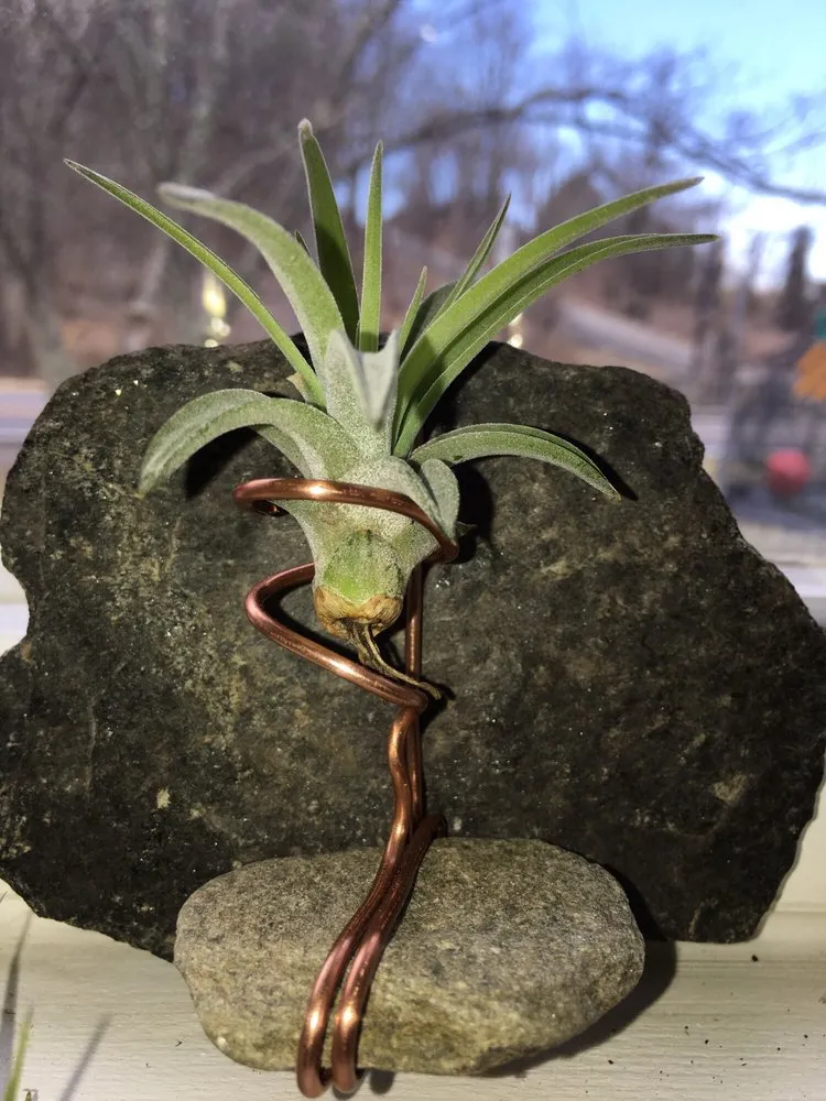 Top-rated yard maintenance experts serving Hillsville, VA - Serenity Landscaping