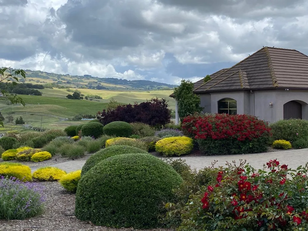 Custom landscaping services in Penngrove, CA - Serenity Landscaping