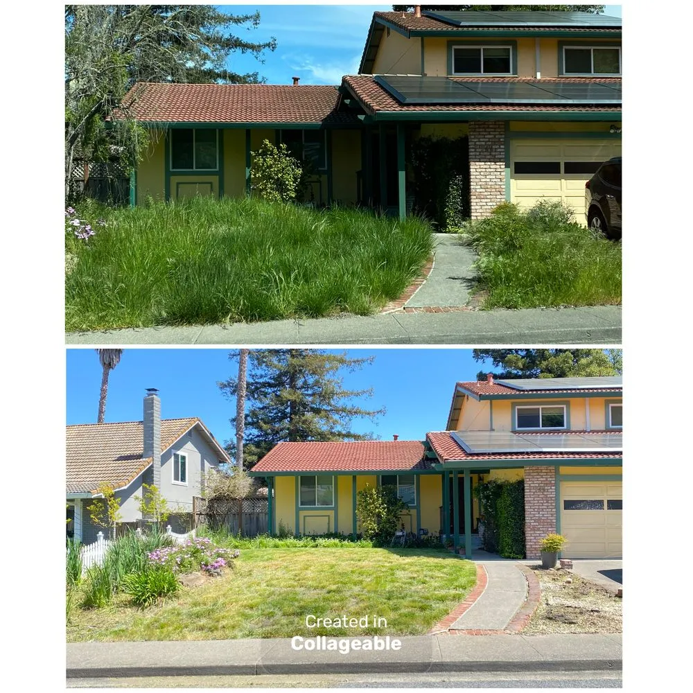 Expert lawn care service experts serving Penngrove, CA - Serenity Landscaping