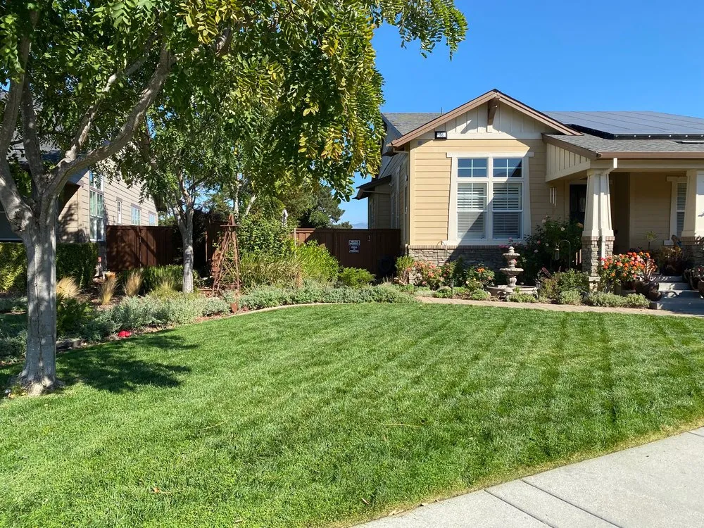 Expert residential landscaping near you across Penngrove, CA - Serenity Landscaping