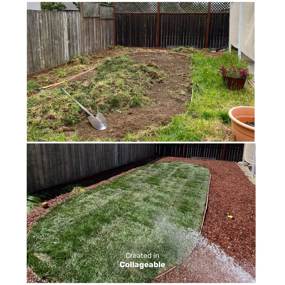 Professional landscape design for homes across Penngrove, CA - Serenity Landscaping