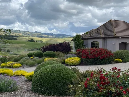 Serenity Landscaping