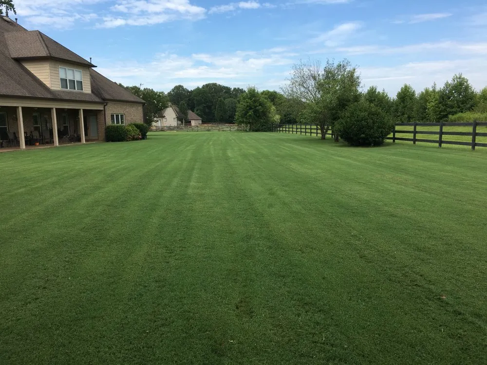 Reliable outdoor landscaping in Eads, TN - Serenity Lawn and Garden
