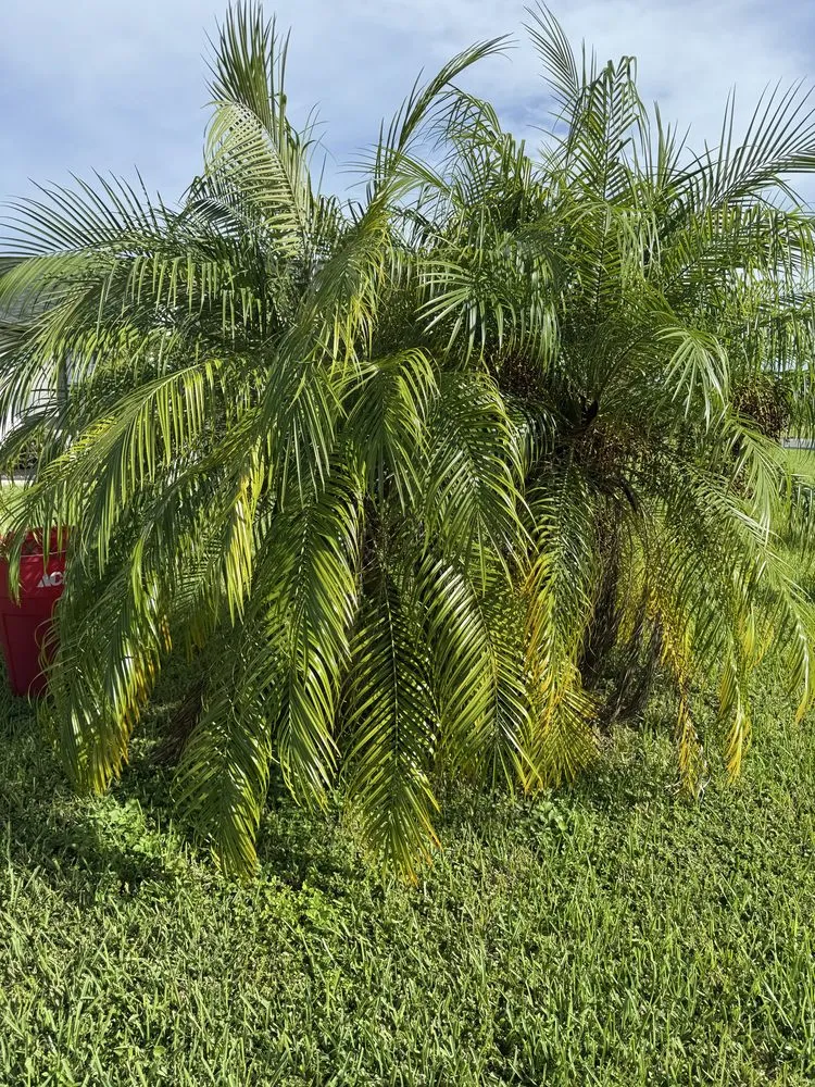 Expert garden landscaping for homes across Lehigh Acres, FL - Serenity Lawn And Landscaping