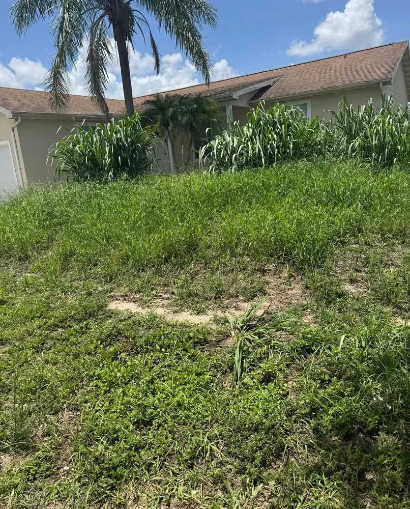 Professional outdoor landscaping experts serving Lehigh Acres, FL - Serenity Lawn And Landscaping