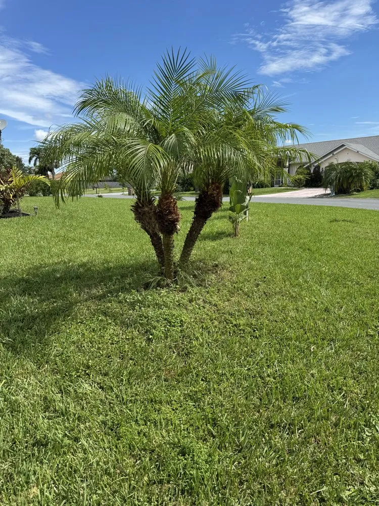 Local residential landscaping near you across Lehigh Acres, FL - Serenity Lawn And Landscaping