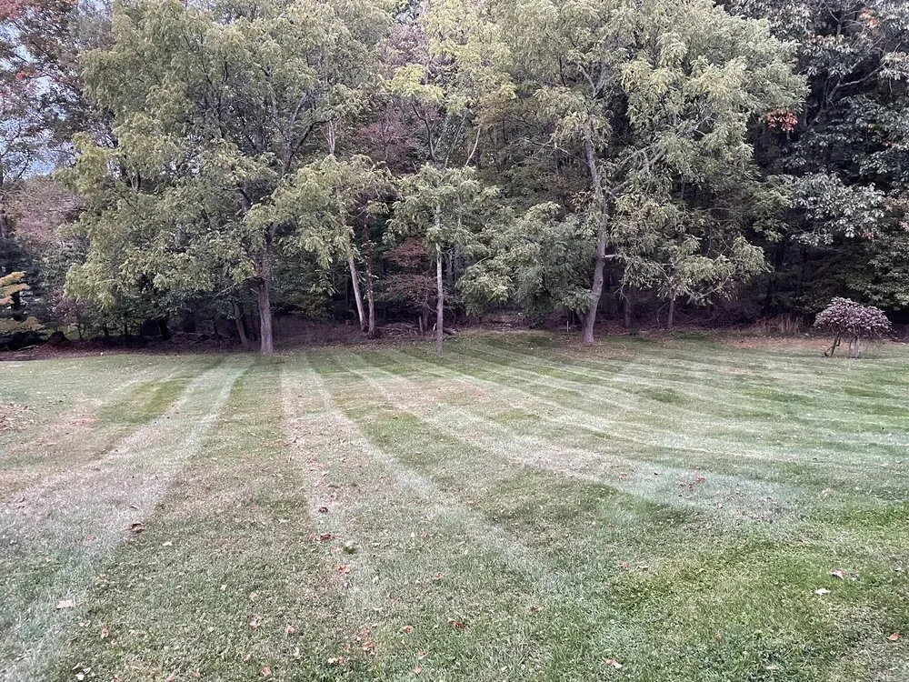 Expert landscape design for year-round maintenance across Shady Spring, WV - Serenity Lawn Maintenance