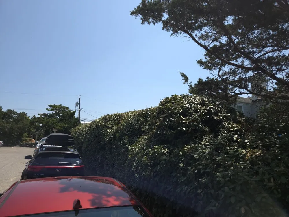 Affordable landscape installation near you across Virginia Beach, VA - Serenity Lawn Services