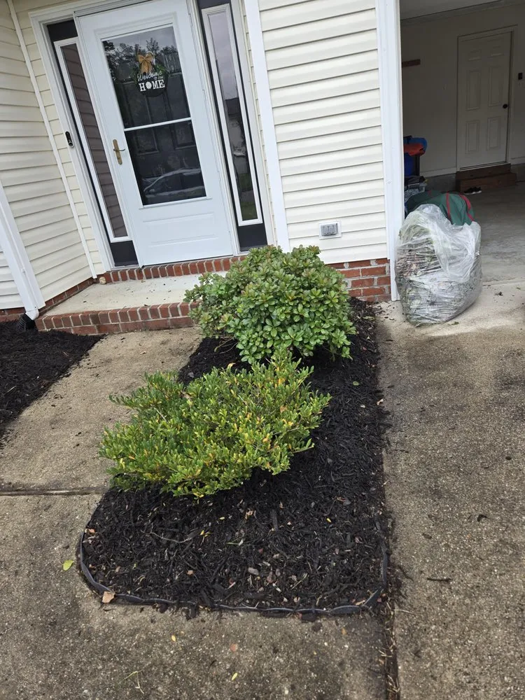 Reliable lawn care service experts serving Virginia Beach, VA - Serenity Lawn Services