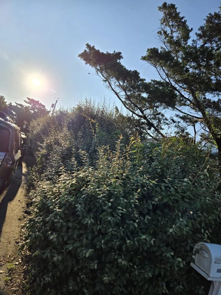 Trusted outdoor landscaping in Virginia Beach, VA - Serenity Lawn Services