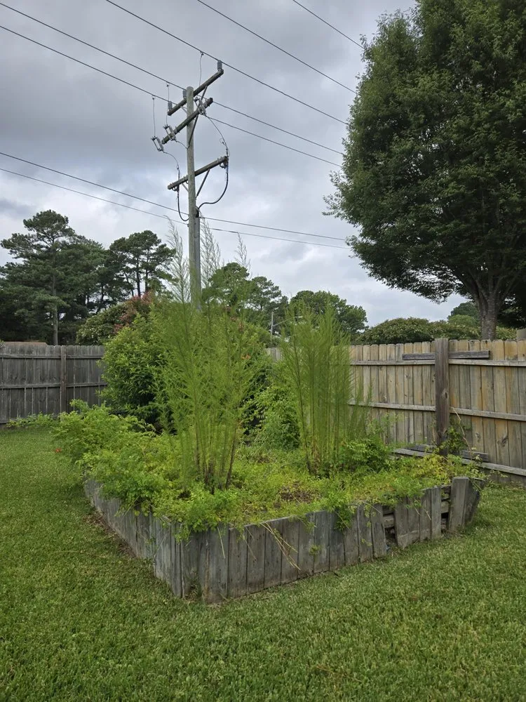 Professional lawn mowing service in Virginia Beach, VA by Serenity Lawn Services