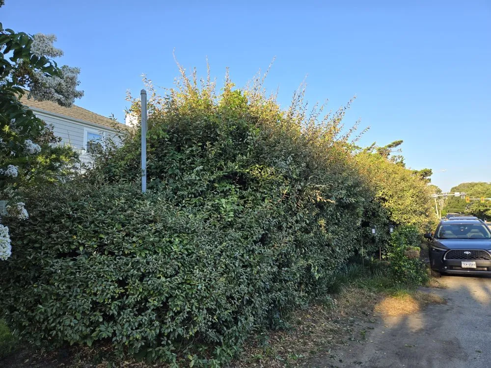 Top-rated yard cleanup service in Virginia Beach, VA by Serenity Lawn Services