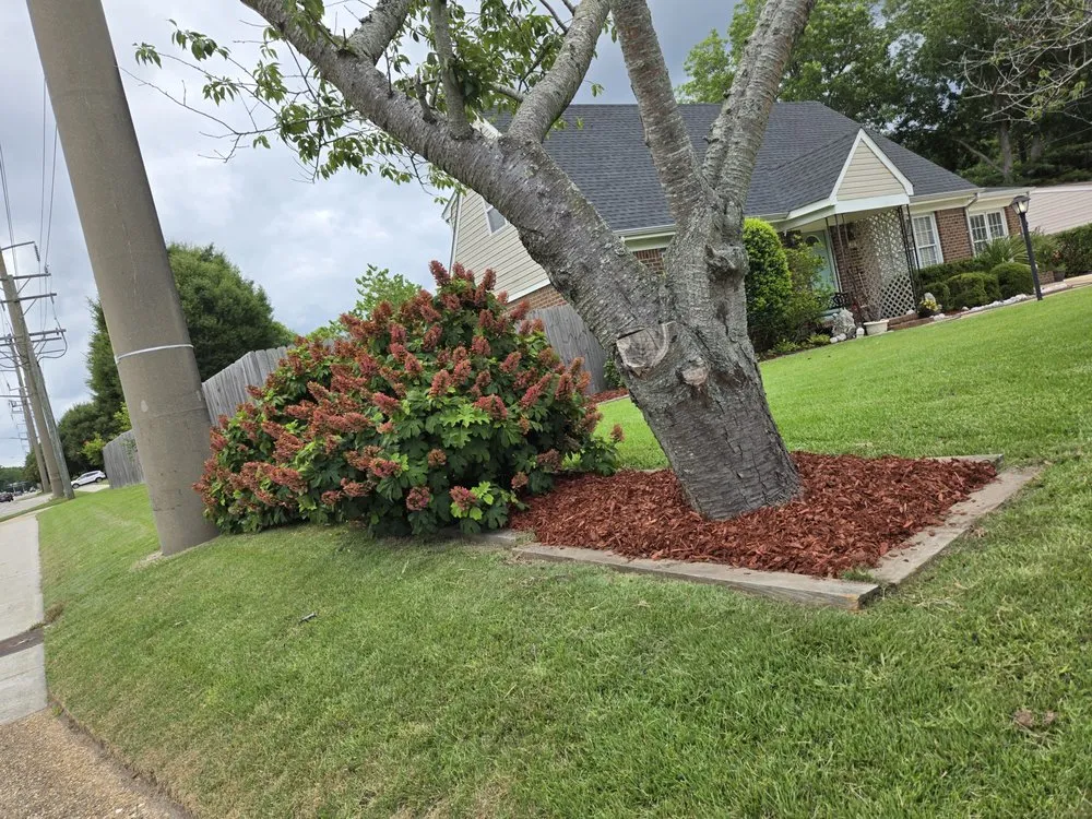 Custom landscape design with custom design across Virginia Beach, VA - Serenity Lawn Services