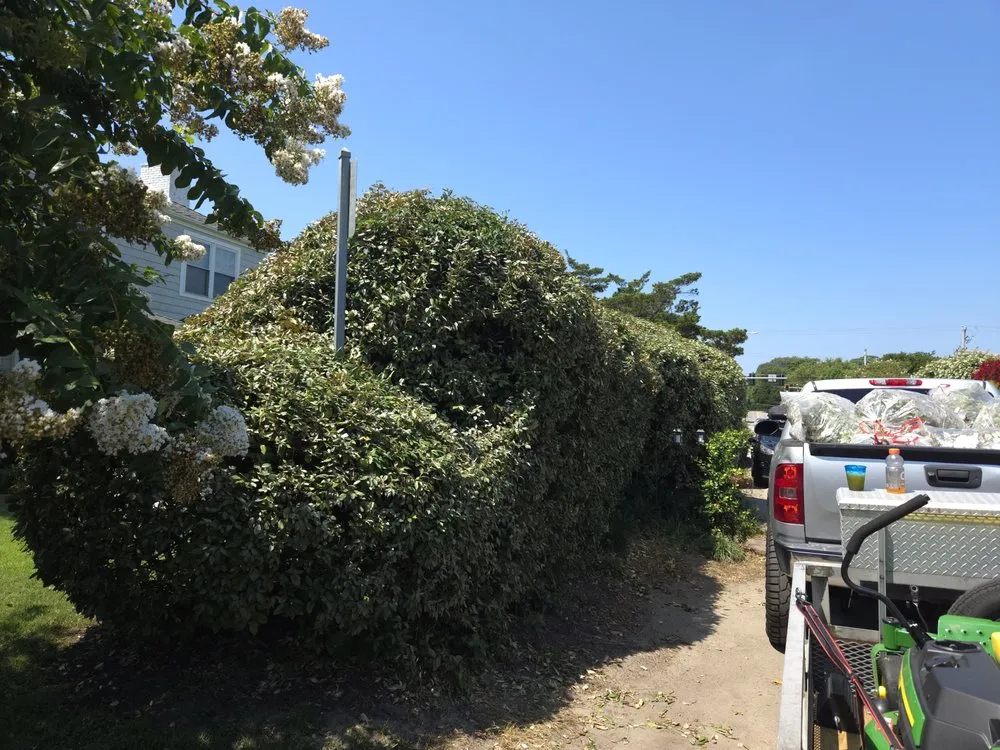 Reliable landscape installation for year-round maintenance in Virginia Beach, VA by Serenity Lawn Services