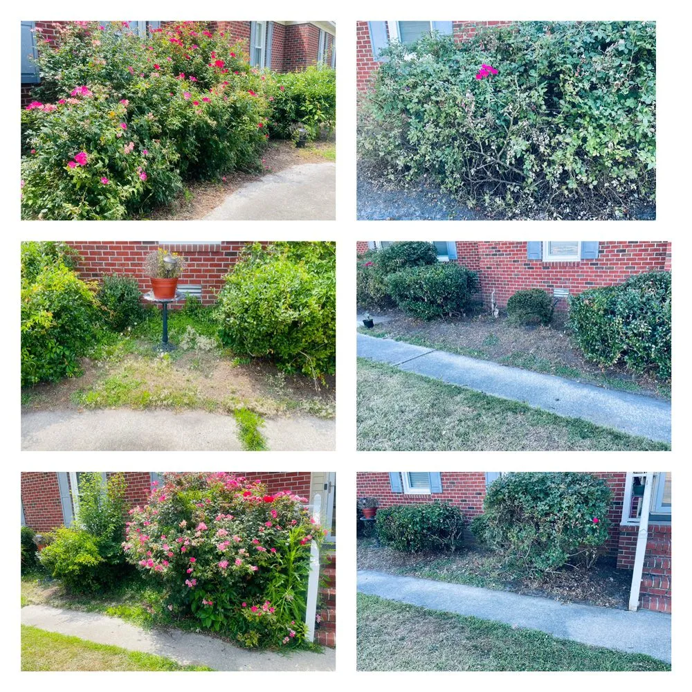 Affordable landscape design for outdoor upgrades in Greenville, NC by Serenity Lawncare Solutions