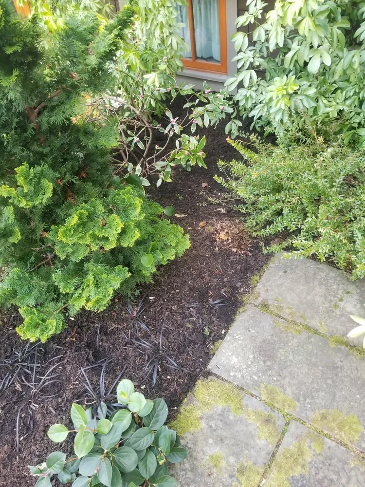 Top-rated lawn mowing service for year-round maintenance across Port Orchard, WA - Serenity Now Garden and Landscape