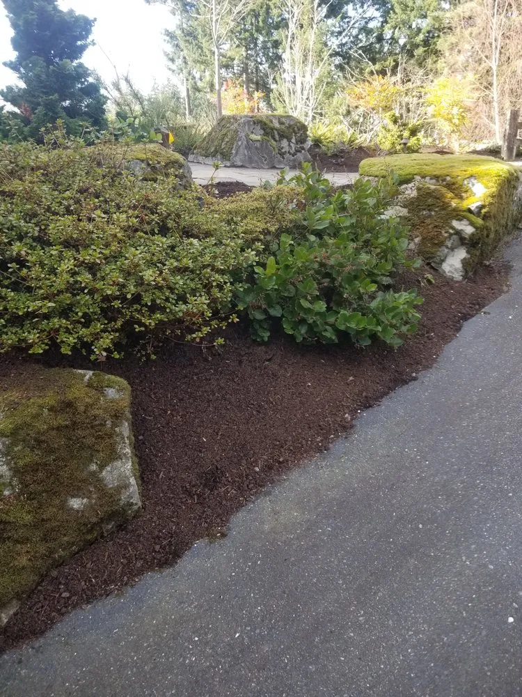 Local landscaping services in Port Orchard, WA by Serenity Now Garden and Landscape