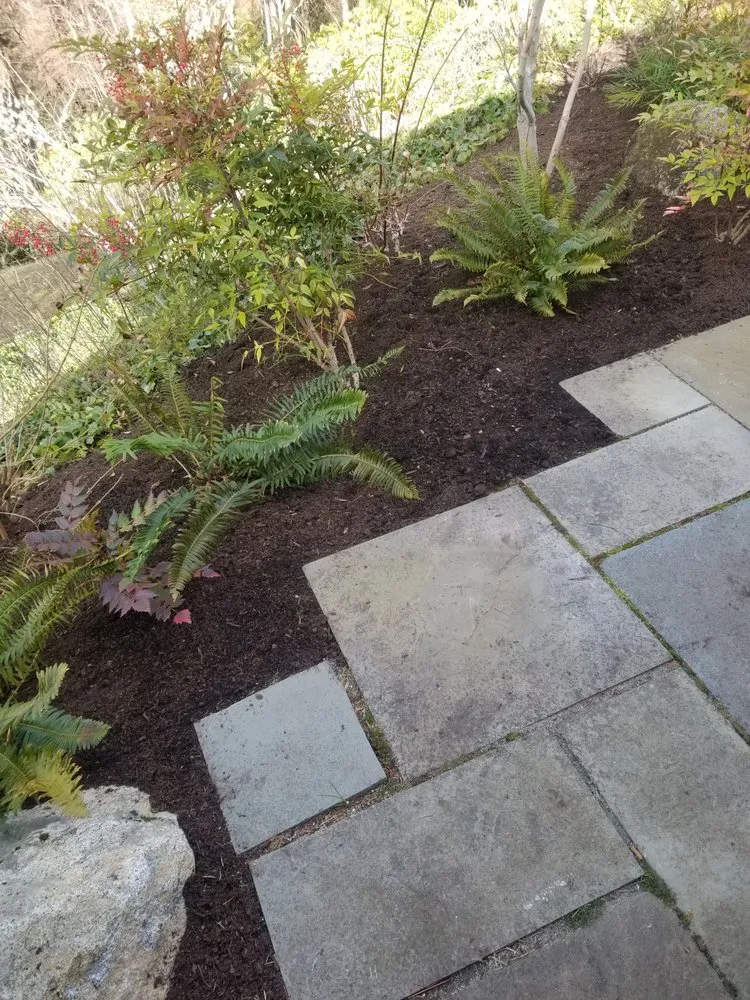 Trusted residential landscaping experts serving Port Orchard, WA - Serenity Now Garden and Landscape