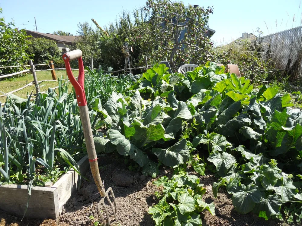 Trusted landscape installation in Arcata, CA by Serenity Now Home and Garden Services