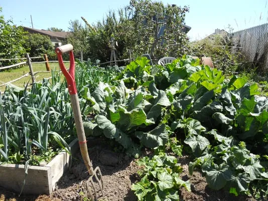 Serenity Now Home and Garden Services