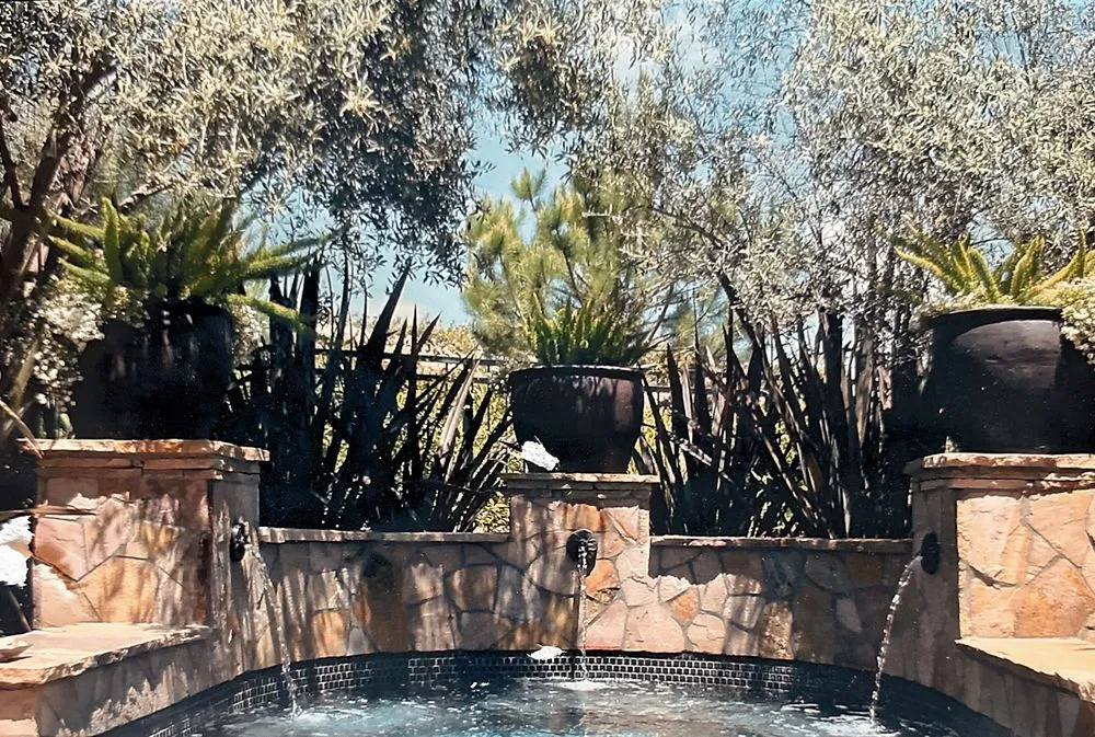 Affordable lawn mowing service in Mission Viejo, CA by Serenity Pools & Landscape