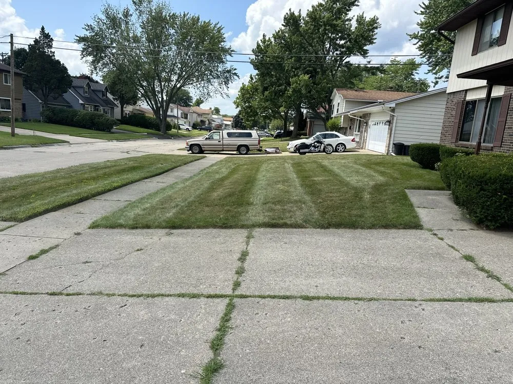 Expert yard cleanup service in Flint, MI - Serenity Property Management