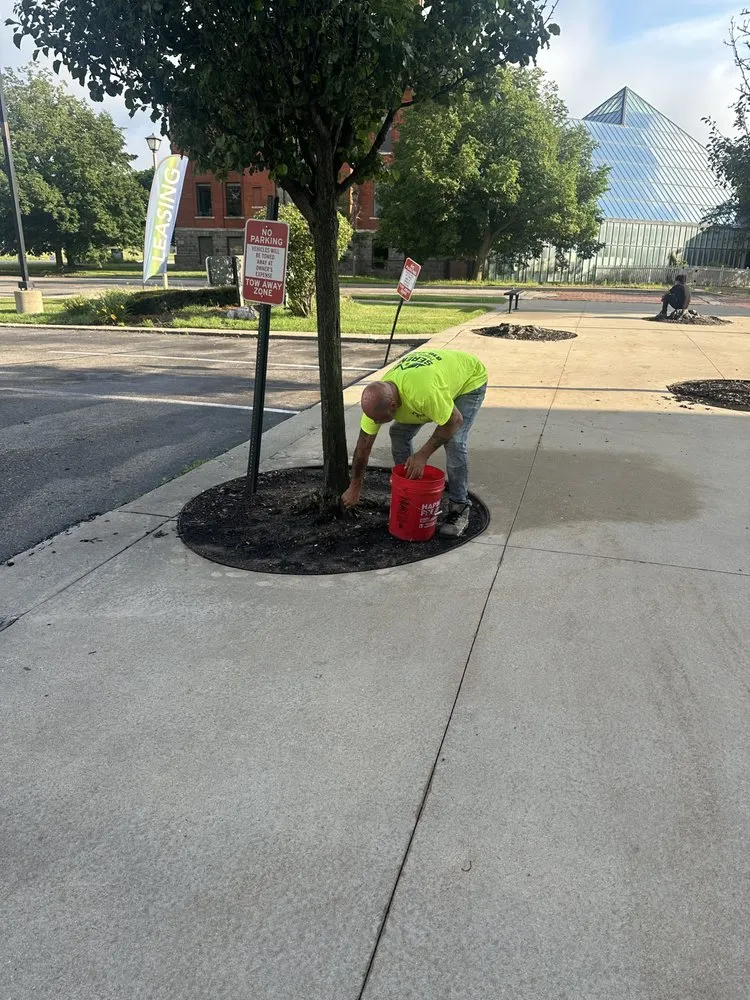 Affordable residential landscaping with custom design in Flint, MI by Serenity Property Management