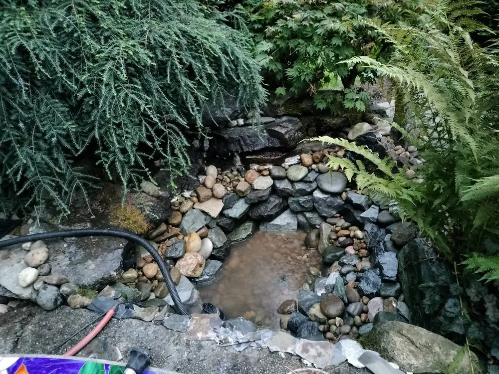 Professional outdoor landscaping in Tacoma, WA by Serenity Scapes