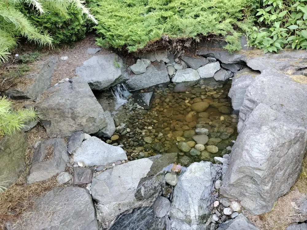 Custom landscape design in Tacoma, WA by Serenity Scapes