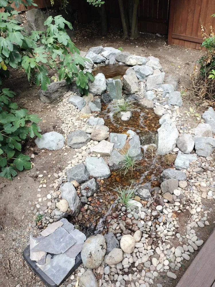 Expert yard maintenance for beautiful yards across Tacoma, WA - Serenity Scapes