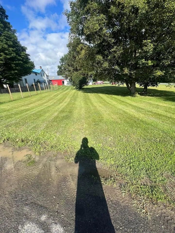 Expert landscape installation with custom design in Trumansburg, NY by Serenity sprouts