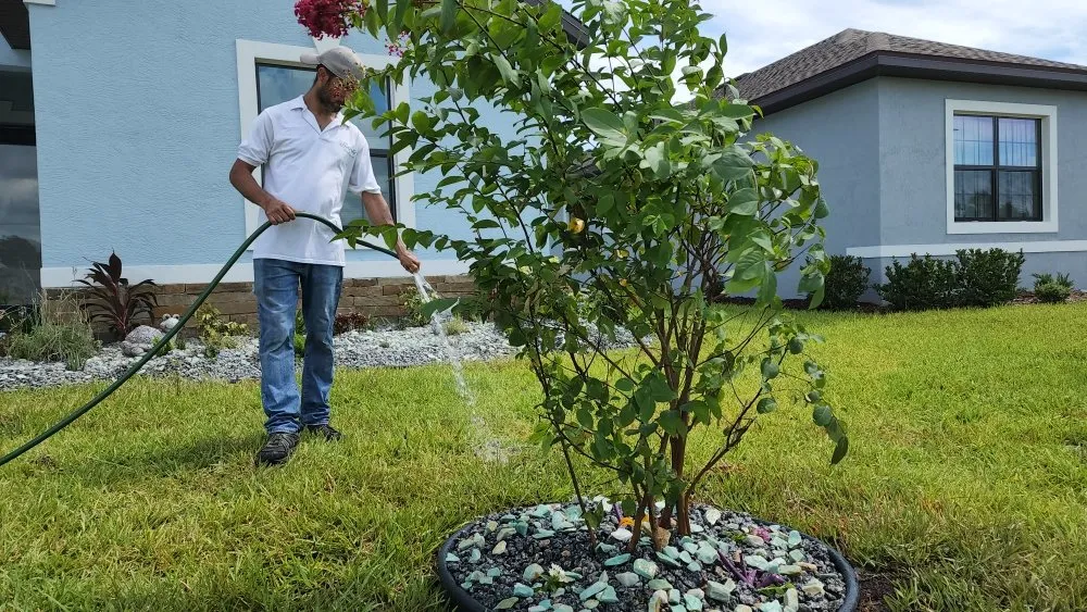 Trusted garden landscaping experts serving Fernandina Beach, FL - Serenity's Home & Garden