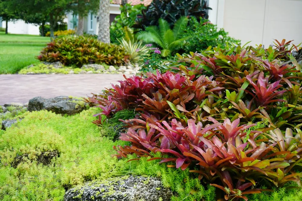 Expert lawn mowing service for outdoor upgrades across Jacksonville Beach, FL - Serenoa Landscape Design