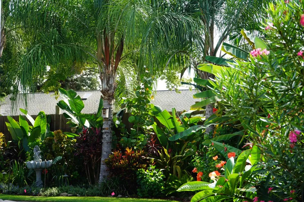 Professional lawn mowing service experts serving Jacksonville Beach, FL - Serenoa Landscape Design