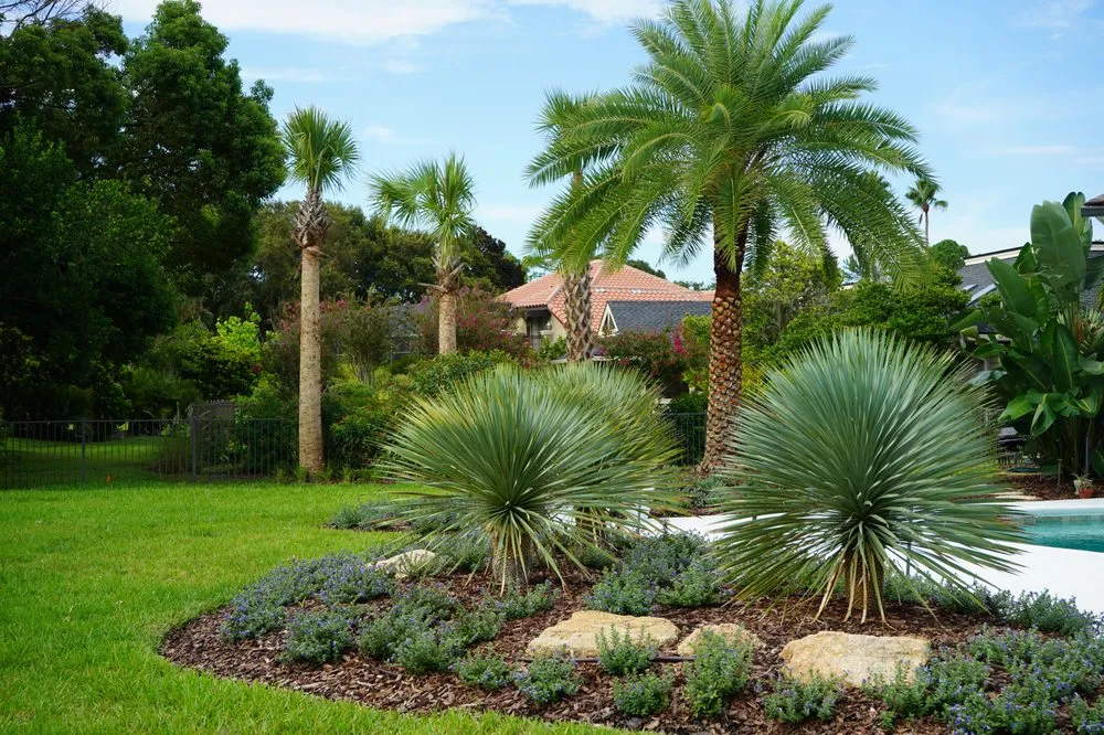 Trusted lawn care service in Jacksonville Beach, FL by Serenoa Landscape Design