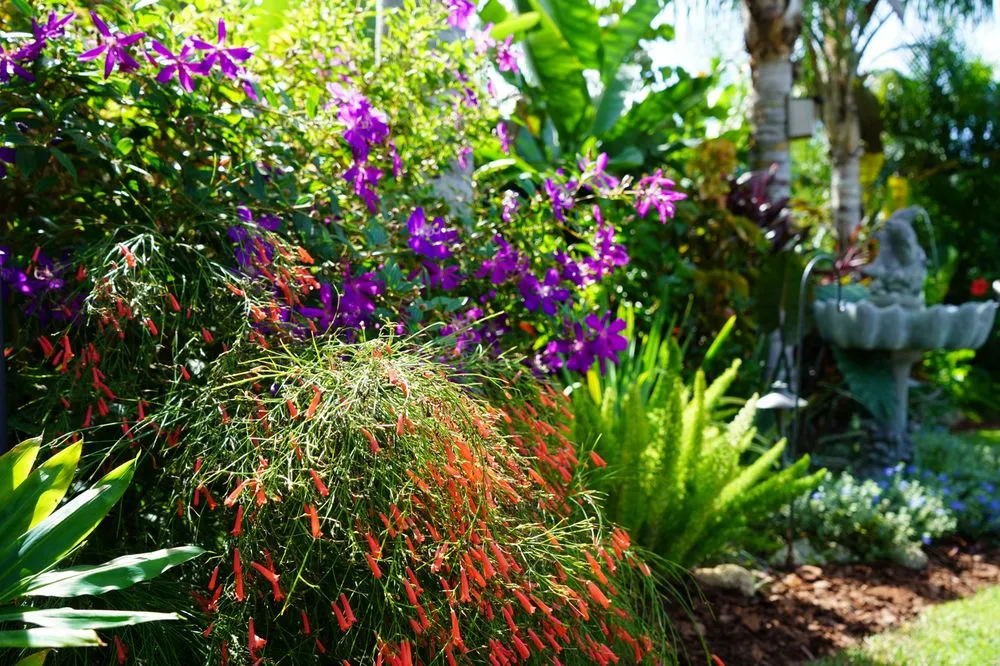 Custom landscaping services in Jacksonville Beach, FL by Serenoa Landscape Design