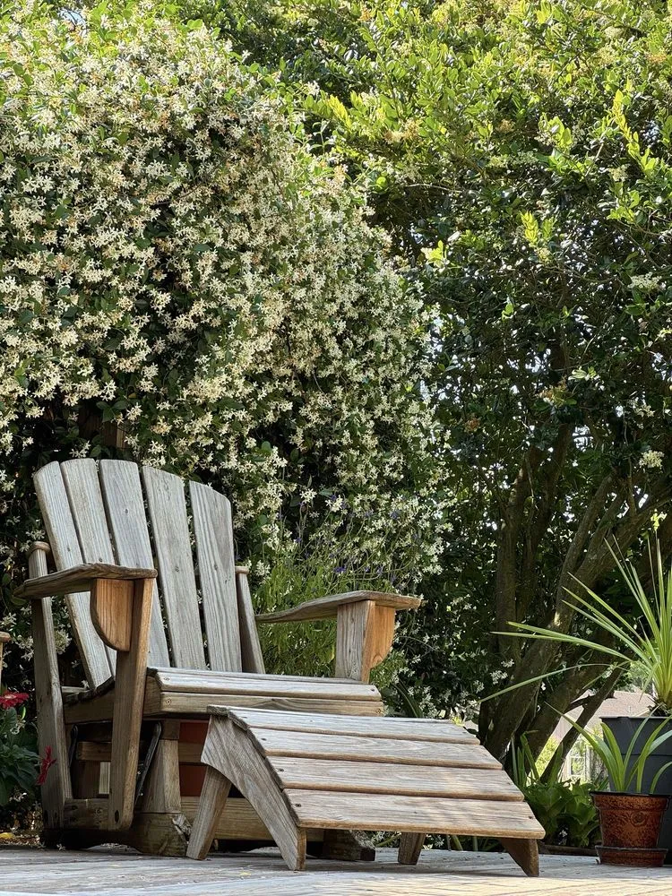 Reliable garden landscaping for year-round maintenance in Jacksonville Beach, FL by Serenoa Landscape Design