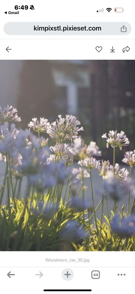 Local residential landscaping for homes across Jacksonville Beach, FL - Serenoa Landscape Design