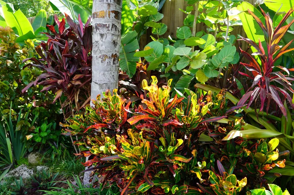 Expert garden landscaping in Jacksonville Beach, FL - Serenoa Landscape Design