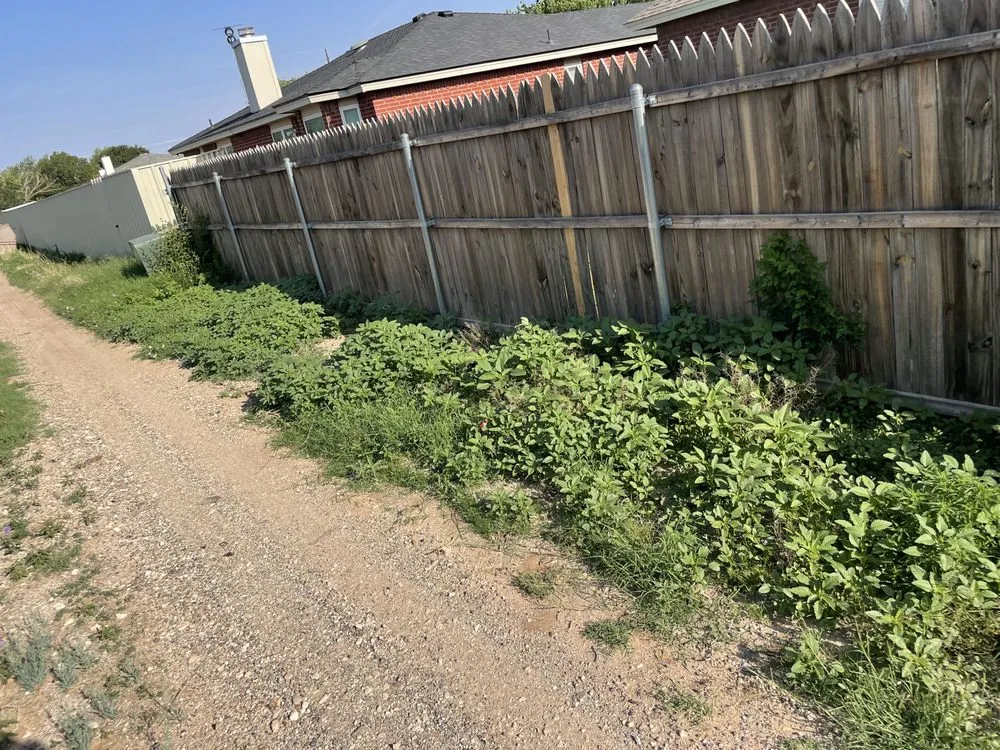 Trusted yard maintenance in Lubbock, TX by Serg The Lawn Barber