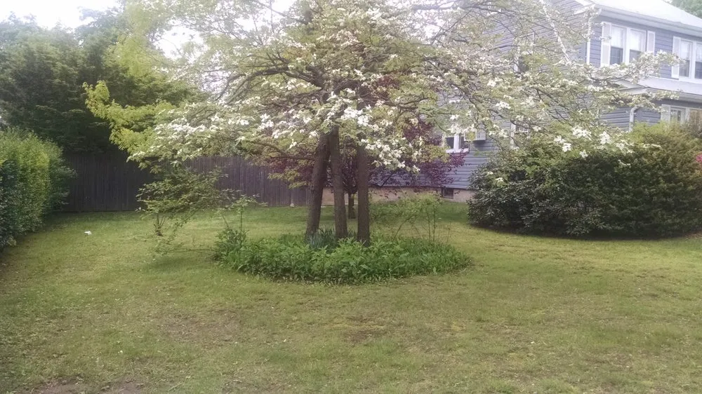 Trusted landscape design experts serving Bay Shore, NY - Sergeant B's Landscaping