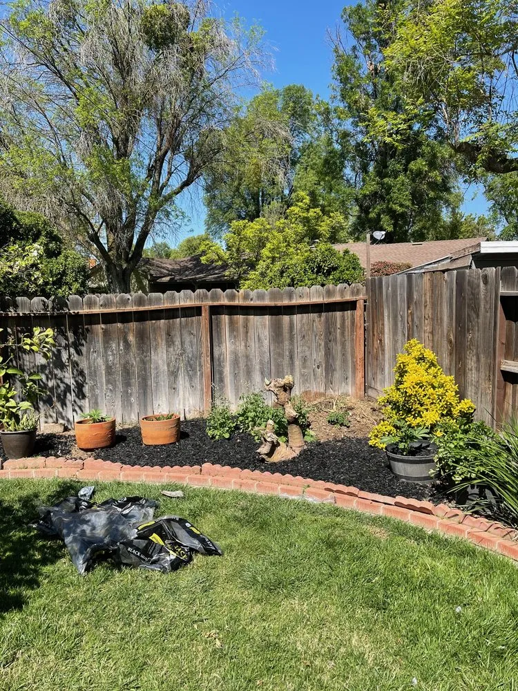 Top-rated lawn mowing service experts serving Modesto, CA - Sergeant Green's Landscape Services