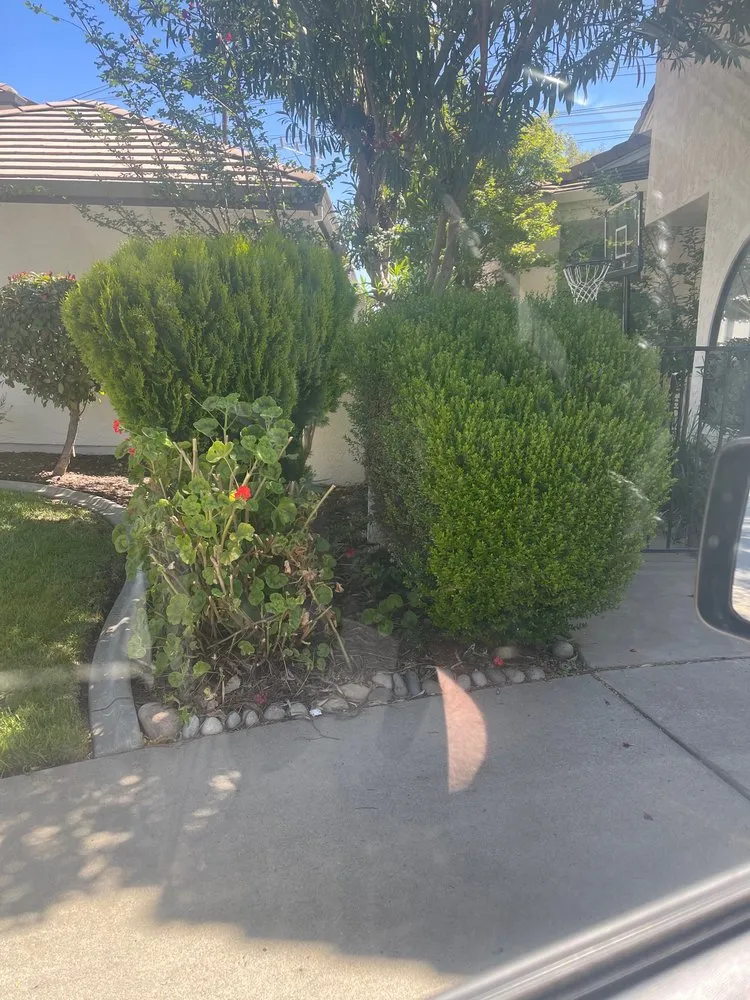 Custom landscape design for beautiful yards across Modesto, CA - Sergeant Green's Landscape Services