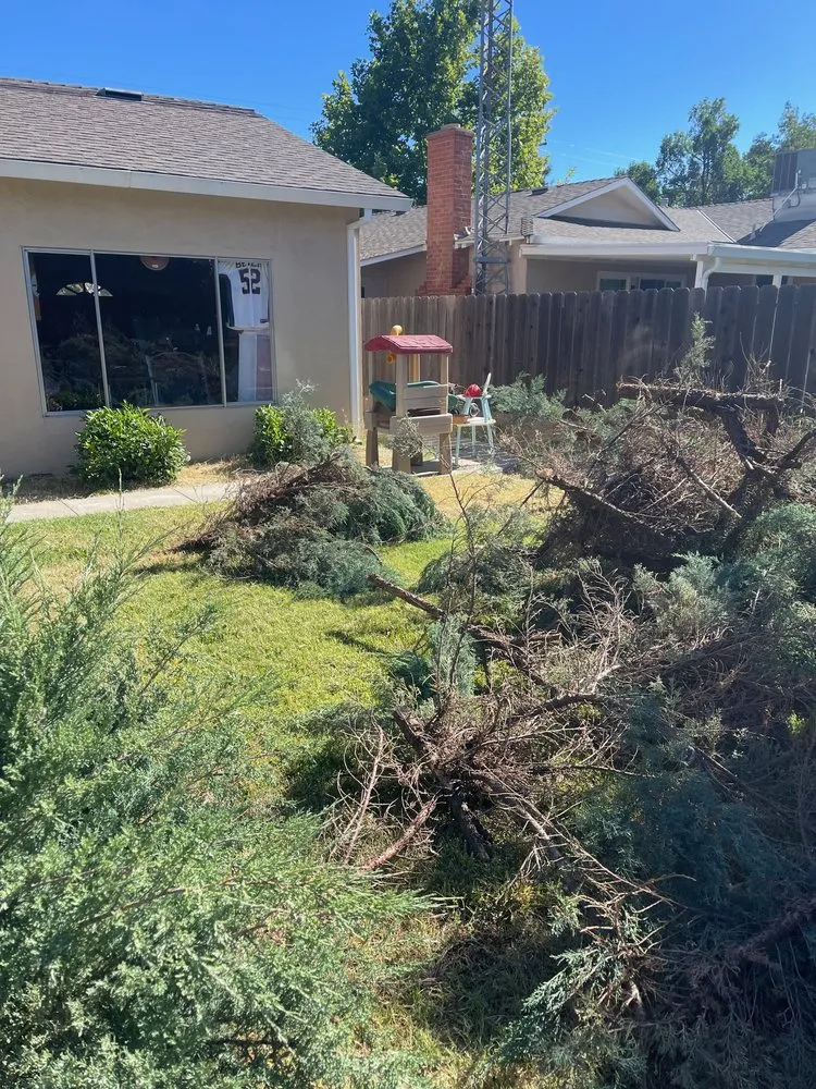 Expert yard maintenance for beautiful yards across Modesto, CA - Sergeant Green's Landscape Services